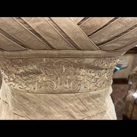 David’s Bridal, Size 4, shimmering beige - Picture 5 of 5